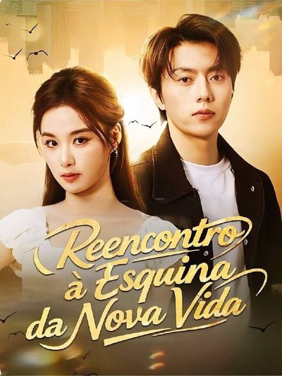 Capa da minisserie Reencontro a Esquina da Nova Vida