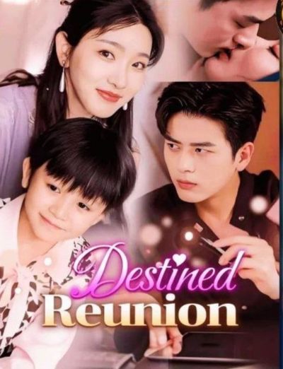 Capa da minisserie Reunião do Destino Destined Reunion